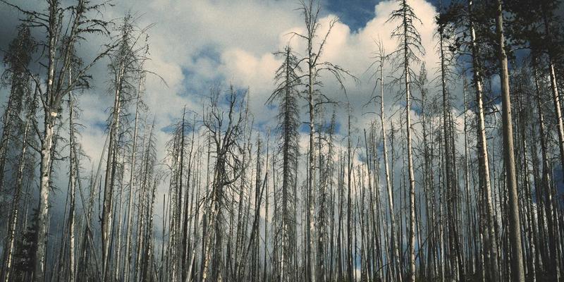 昌古鲁34:揭秘亚洲最后的原始探险秘境