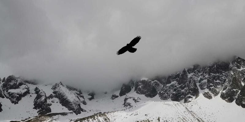 昌古鲁40：徒步探险者的秘境，户外爱好者的终极挑战
