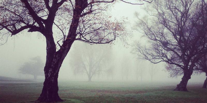 昌古鲁67：揭秘亚洲最后的原始探险秘境
