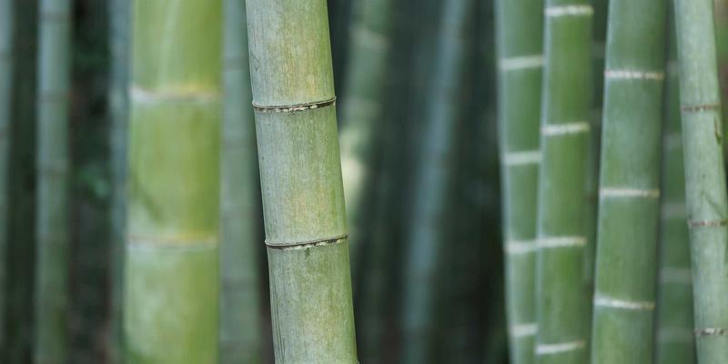 昌古鲁古建筑群修复技术探秘：当自然奇观遇见现代科技，一场穿越时空的冒险活动