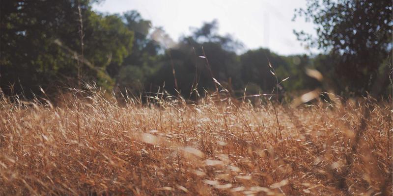 昌古鲁地下秘境：古老蓄水系统与户外探险指南