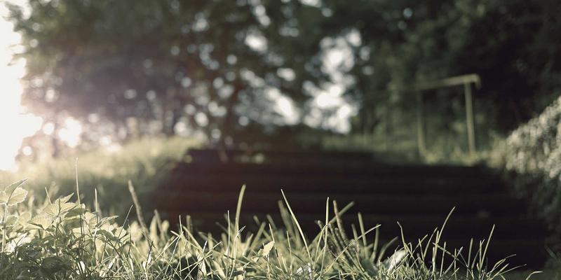 昌古鲁:探秘失落之境的自然奇观与终极探险攻略