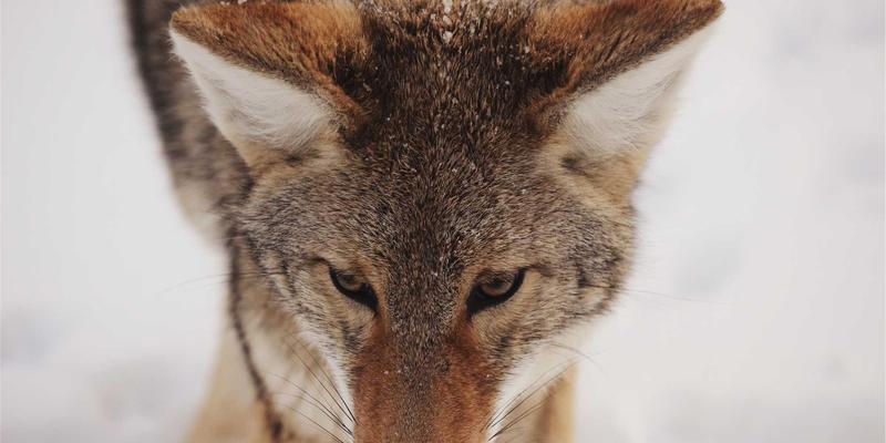 昌古鲁星空观测与摄影全攻略：高海拔徒步探险者的银河拍摄指南