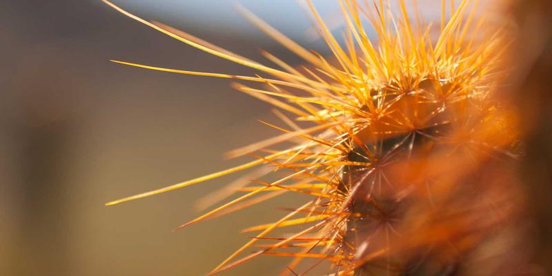 昌古鲁雨季探险指南：追踪季节性河流与瀑布的极致徒步体验
